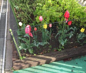 チューリップ🌷と菜の花