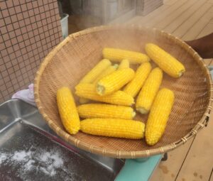 とうもろこし(食育編)